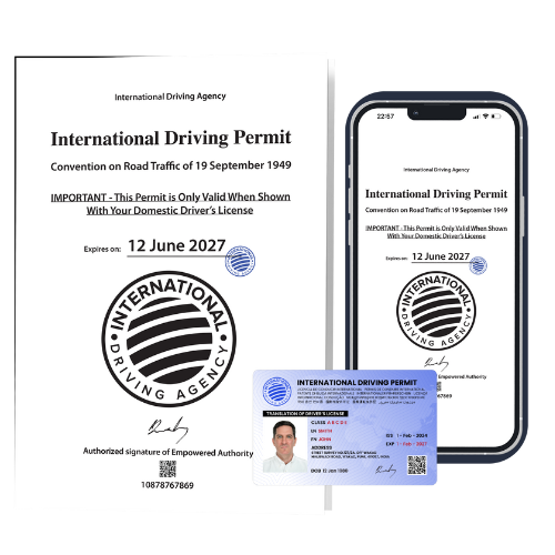 IDP Sample